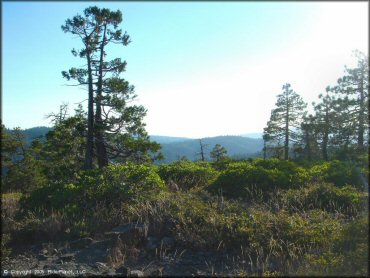 Scenery at Black Springs OHV Network Trail