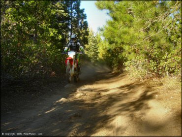 Honda CRF Dirtbike wheelying at Black Springs OHV Network Trail