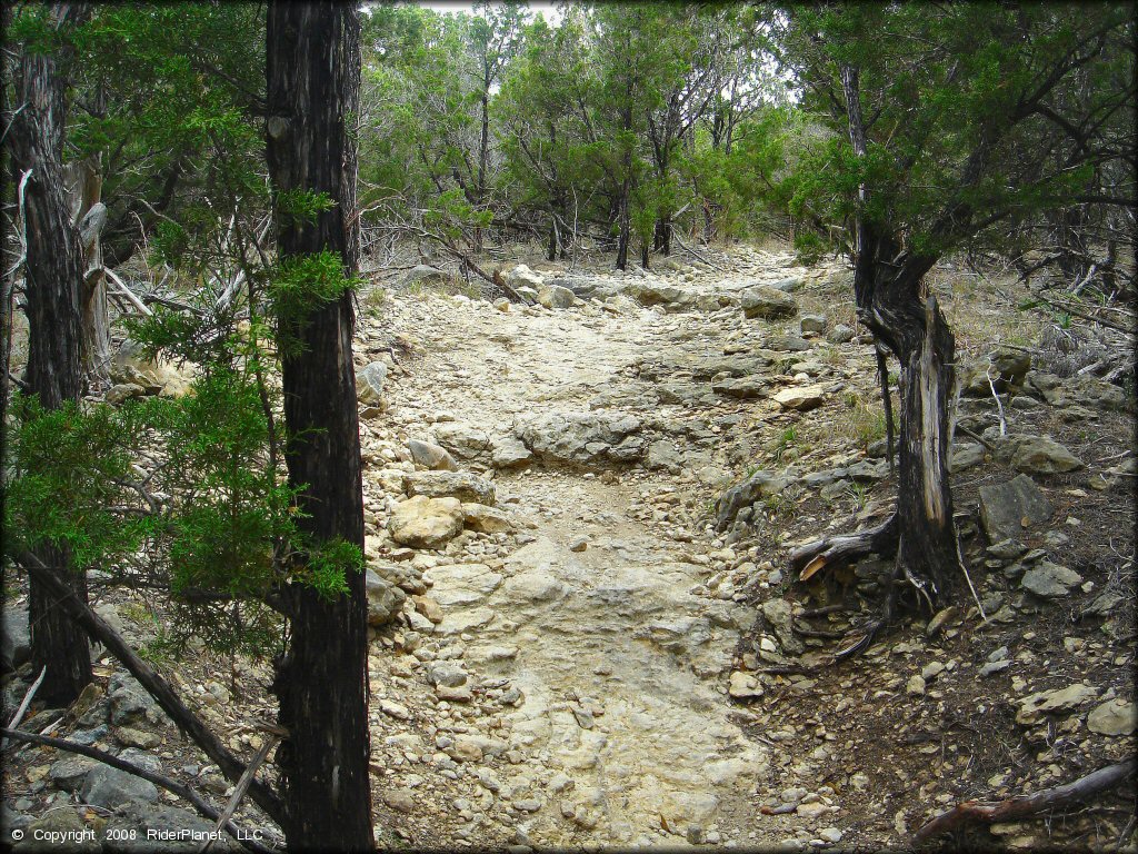 Some terrain at Emma Long Metropolitan Park Trail