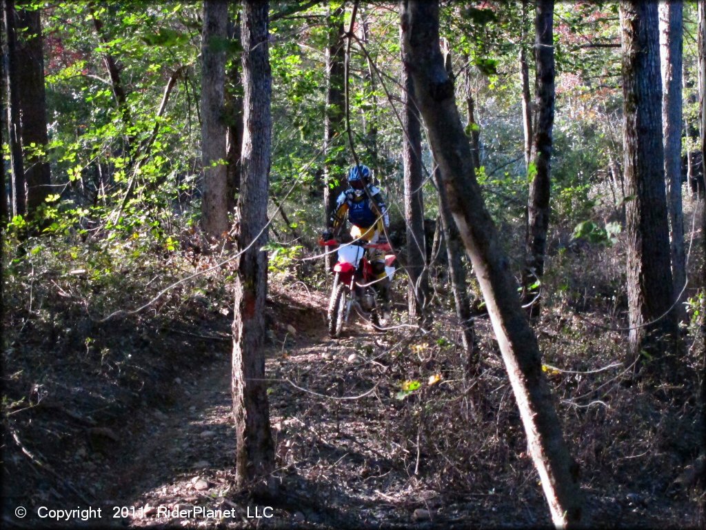 Honda CRF Trail Bike at Hodges Village Dam Trail