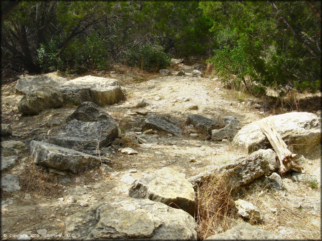 Some terrain at Emma Long Metropolitan Park Trail