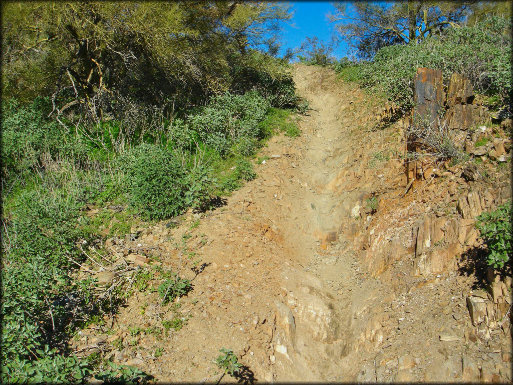 A close up photo of rugged, steep and narrow single track.