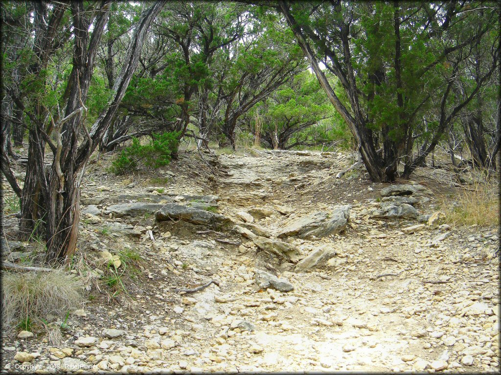 Example of terrain at Emma Long Metropolitan Park Trail