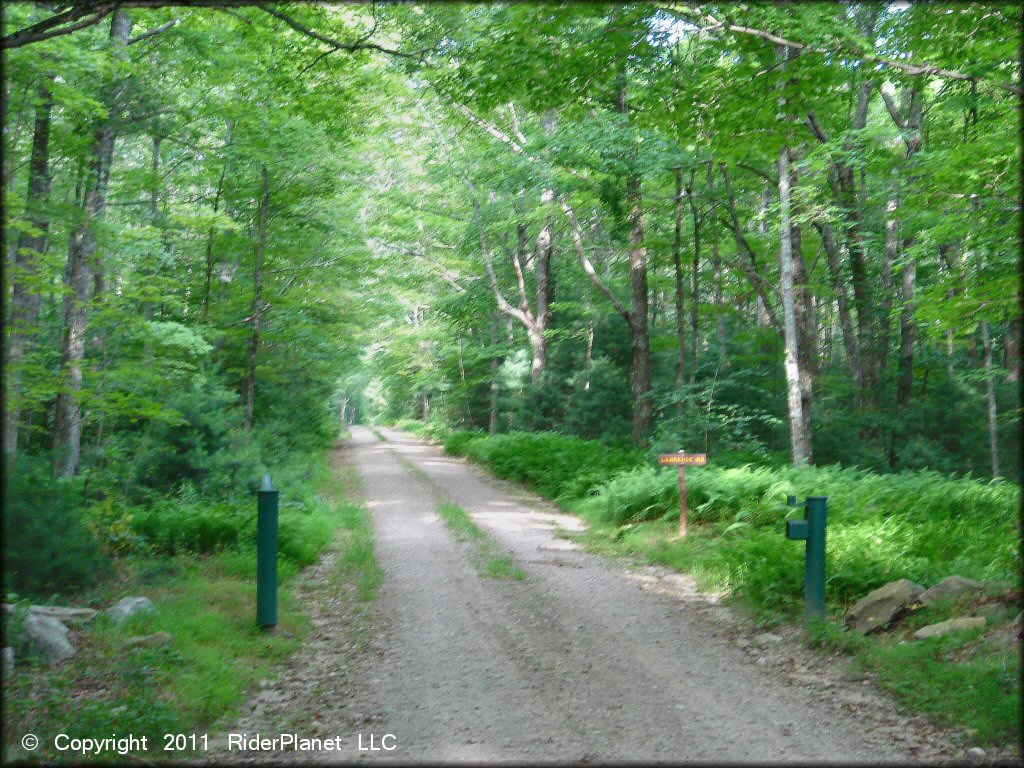Terrain example at Pachaug State Forest Trail