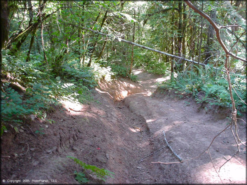 Example of terrain at Low Pass Trail