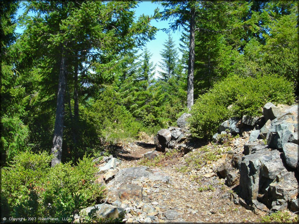 A trail at High Dome Trail