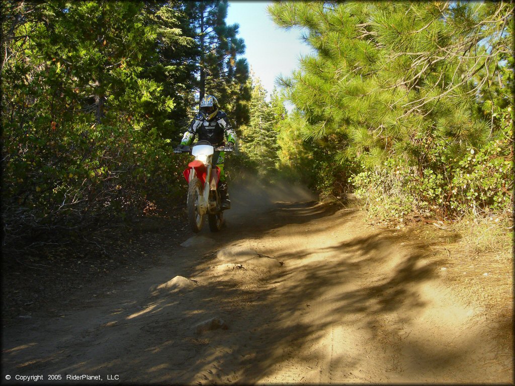 Honda CRF Trail Bike doing a wheelie at Black Springs OHV Network Trail