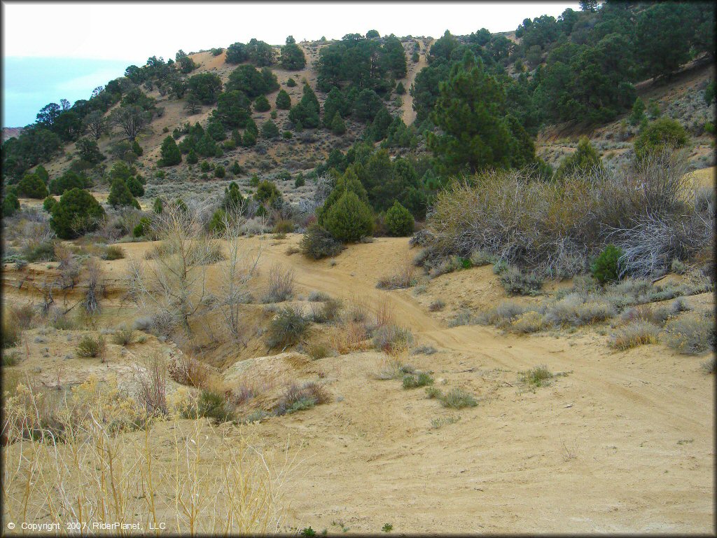 A trail at Sevenmile Canyon Trail