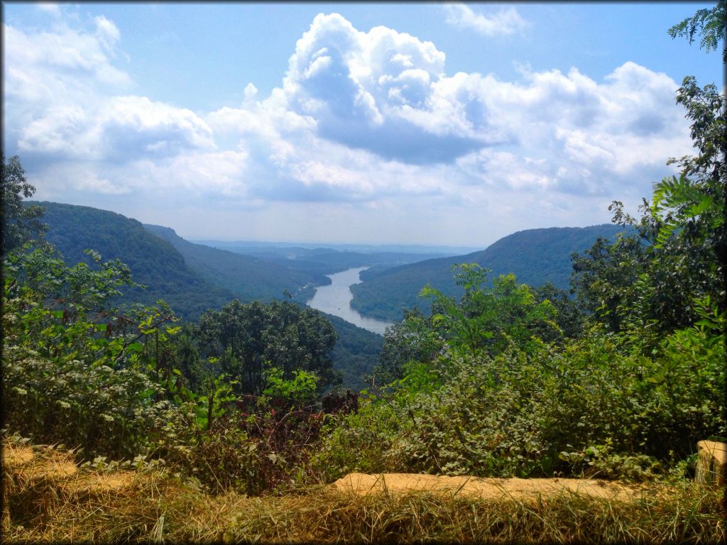 View of Tennessee River from ATV trail.