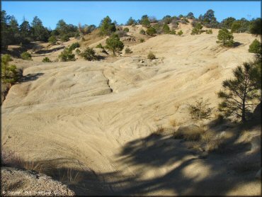 Scenery at Alto Pit OHV Area Trail