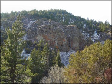 Scenery from Timberline Road Trail