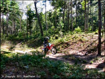 Honda CRF Motorbike doing a wheelie at Hodges Village Dam Trail