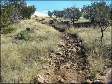 Example of terrain at Redington Pass Trail