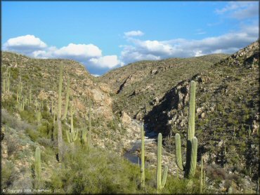 Scenic view of Redington Pass Trail