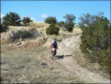 Honda CRF Dirt Bike at Redington Pass Trail