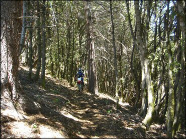 Woman on a Honda CRF Motorcycle at High Dome Trail