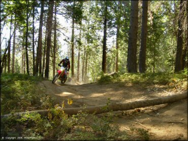 Honda CRF Trail Bike at Miami Creek OHV Area Trail