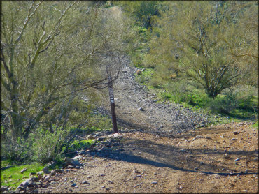 BLM brown carsonite trail marker designating difficulty level and permitted use.