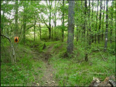 A trail at CrossCreek Cycle Park OHV Area