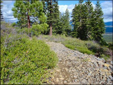 Example of terrain at Prosser Hill OHV Area Trail