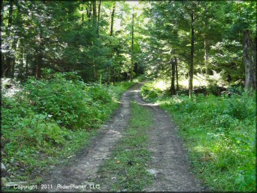 Example of terrain at Camden ATV Trail