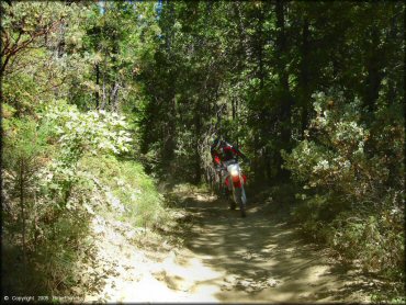 Honda CRF Motorcycle at Miami Creek OHV Area Trail