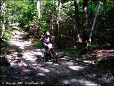 Honda CRF Motorcycle at Beartown State Forest Trail