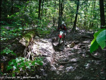 Honda CRF Motorbike at Beartown State Forest Trail