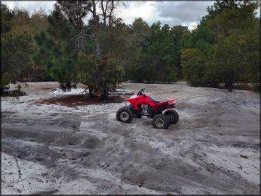 Honda TRX four wheeler parked next to pine tree in sandy play area.