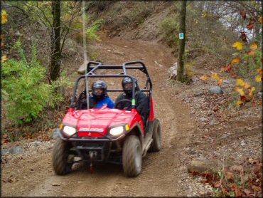 Polaris RZR 800 UTV with winch on front bumper and roll cage carrying two passengers.