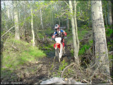 Honda CRF Off-Road Bike at Bull Ranch Creek Trail