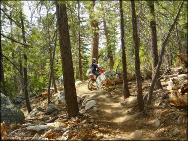 Honda CRF Trail Bike at Corral OHV Trail