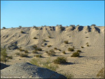 A trail at Ehrenberg Sandbowl OHV Area