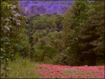 Terrain example at Camp Gruber ORV Area Trail