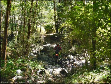 Honda CRF Trail Bike crossing some water at High Dome Trail