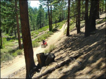 Girl on Honda ATV at South Camp Peak Loop Trail