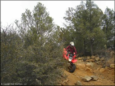 OHV at Sheridan Mountain Smith Mesa OHV Trail System