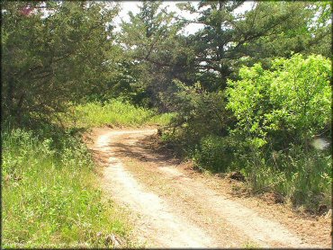 A trail at Cedar Run ATV Trail