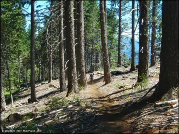 Woman on a Honda CRF Motorcycle at High Dome Trail