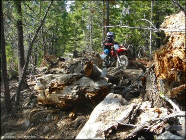 Honda CRF Trail Bike at Corral OHV Trail