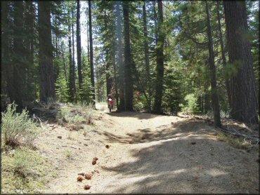 Honda CRF Dirt Bike doing a wheelie at Twin Peaks And Sand Pit Trail