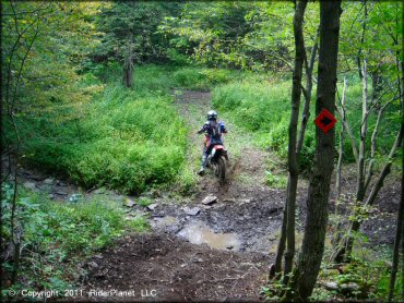 Honda CRF Dirt Bike crossing some water at Tall Pines ATV Park Trail