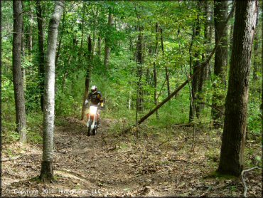 Honda CRF Motorcycle at Franklin Trails