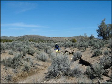 OHV at Chief Mountain OHV Area Trail