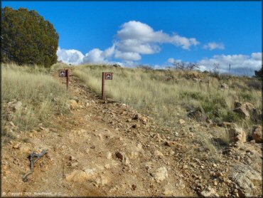 Terrain example at Redington Pass Trail