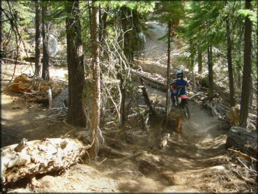 Honda CRF Dirtbike at Corral OHV Trail