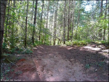 Some terrain at Low Pass Trail