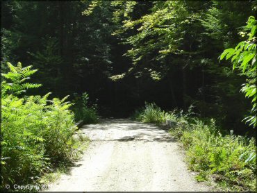 Some terrain at Pisgah State Park Trail