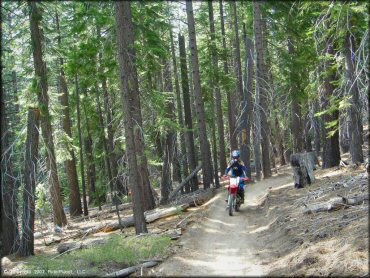 Honda CRF Motorcycle at Corral OHV Trail