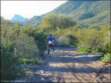 Honda CRF Motorbike at Bulldog Canyon OHV Area Trail